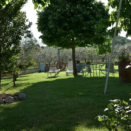 Agriturismo La Madonnina-3